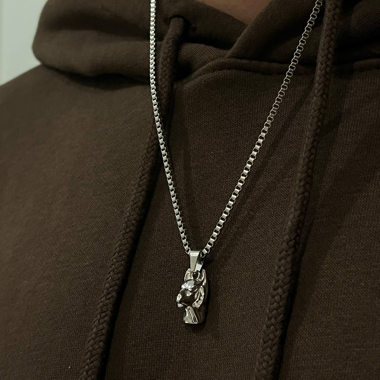 male wearing silver anubis pendant outside brown hoodie